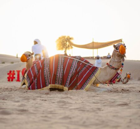 Morning Desert Safari – Dune Bashing & Camel Ride (Min of 4)